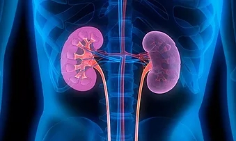 Nephrology & Dialysis