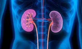 Nephrology & Dialysis