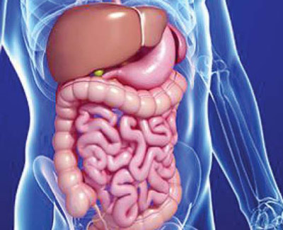 Gastroenterology